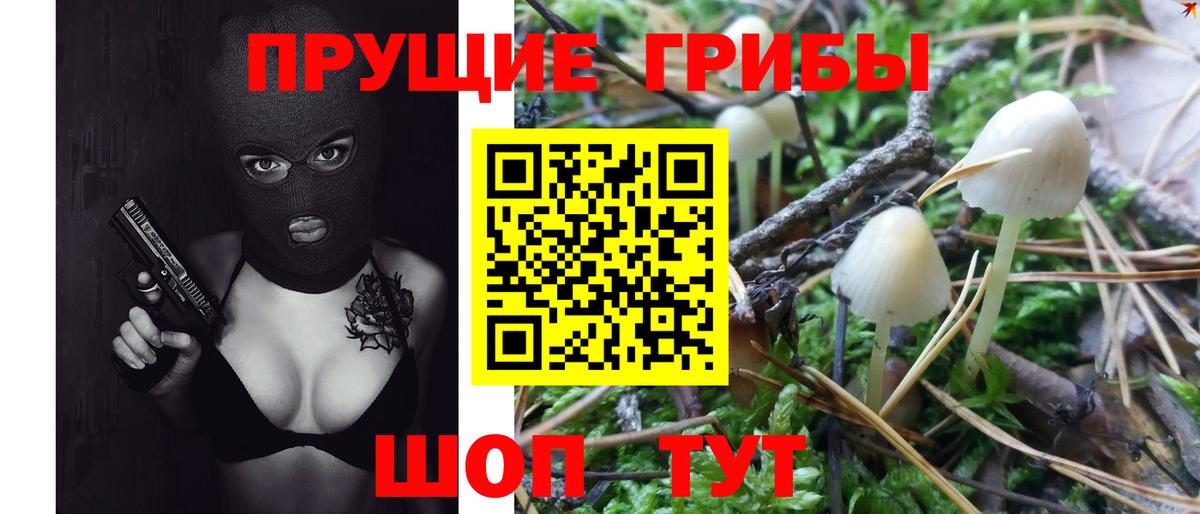 Галлюциногенные грибы GOLDEN TEACHER Усть-Илимск